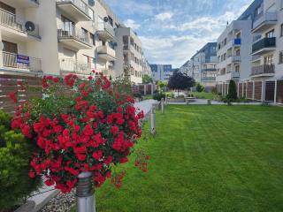 Apartament nad morzem -Animar - Świnoujście - 8