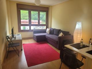 Apartamento en el centro Felechosa - 0