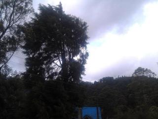 St. Andrews Hostel - Nuwara Eliya - 3