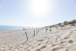 Palm Beach Beachfront - Marbella - 8