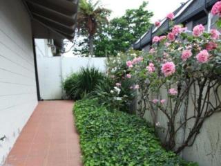 Epsom Motel - Auckland - 2