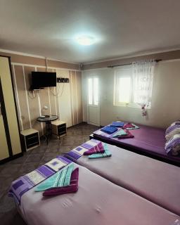 Apartments in villa Viktoria - Sutomore - 8