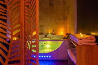 La Jungle Room ~ Balnéo ~ Climatisation - Narbonne - 2