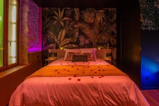 La Jungle Room ~ Balnéo ~ Climatisation - Narbonne - 9