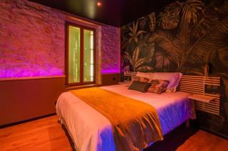 La Jungle Room ~ Balnéo ~ Climatisation - Narbonne - 6
