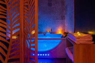 La Jungle Room ~ Balnéo ~ Climatisation - Narbonne - 4