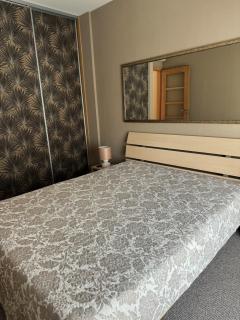 Erdvūs apartamentai Palangos centre - Palanga - 1