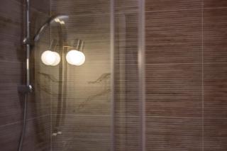 L'absinthe AIL - Villeurbanne - 2