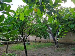 Casa Alfonsino -  - 5