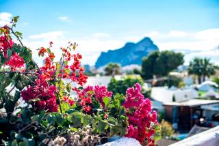 AITANA - Managed by Almarina - 9