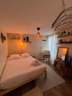 Le petit abri de la Garenne - Séjour cosy à Blois - 9