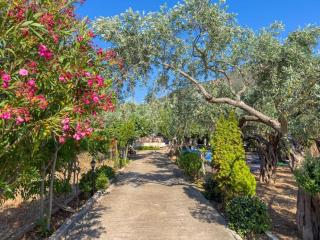 Budget 30-meter-from-beach house Ilios Beach House - 7