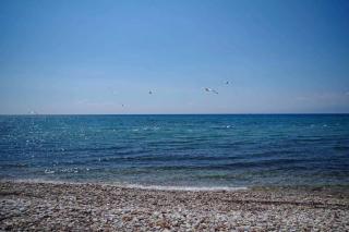 Budget 30-meter-from-beach house Ilios Beach House - Skala Kallirachis - 5
