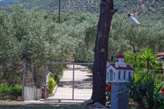 Budget 30-meter-from-beach house Ilios Beach House - Skala Kallirachis - 4