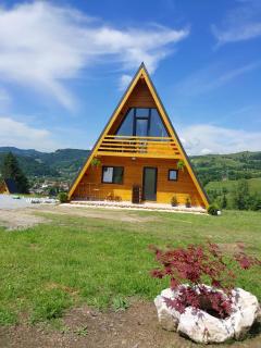 A Frame Panoramic Apuseni - 6