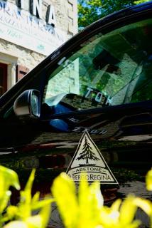 Hotel Regina - Abetone - 3