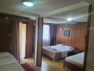 Guest house Vila Bor - 1