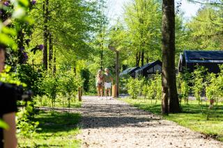 TopParken - Résidence Lage Vuursche - Lage-Vuursche - 3