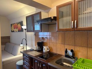 Apartamenty i pokoje Domino Parking w cenie ! - Karpacz - 1