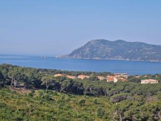 Les pieds dans l'eau - Saint-Mandrier-sur-Mer - 0