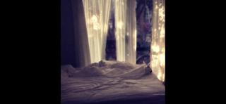 Boatshed tallows beachside - 5