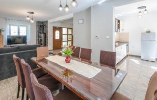 Nice Home In Brestovac With Sauna - Novo Zvecevo - 6