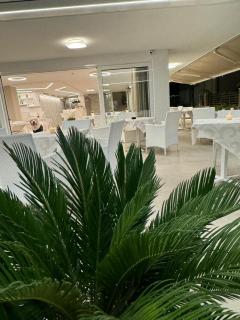 Hotel San Domingo - Bellaria-Igea Marina - 4