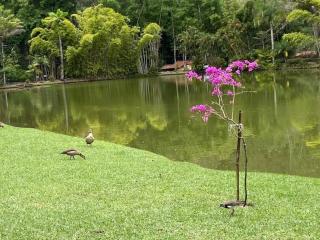 Aqui a paz é verde - Petrópolis - 2