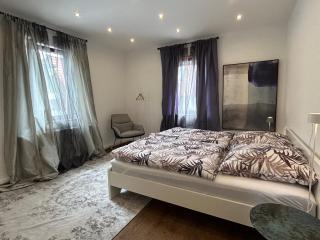 Nibelungen 4 Zimmer Apartment - 8