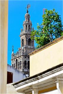 Selecta Apartments Los Venerables - Sevilla - 6
