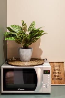 FLH Campo Ourique Afro-Bohemian Retreat - Lissabon - 1