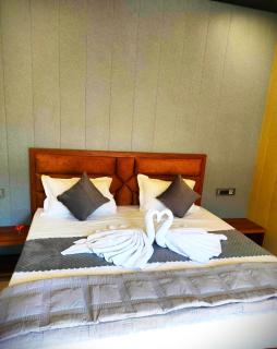 Maulyar Homestay - Tehri - 1