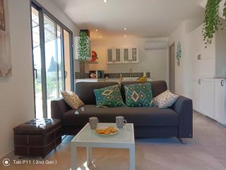 Peaceful Mas Provencal 'Mas du Sucre' with Large Pool - Cheval-Blanc - 9