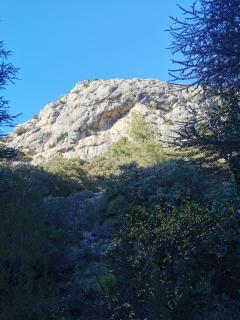 Peaceful Mas Provencal 'Mas du Sucre' with Large Pool - Cheval-Blanc - 5