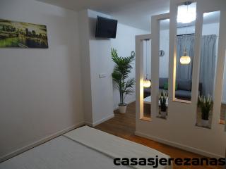 Casas jerezanas Loft Olivier - Jerez de la Frontera - 1