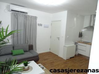Casas jerezanas Loft Olivier - Jerez de la Frontera - 3