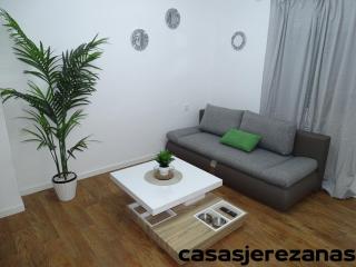 Casas jerezanas Loft Olivier - Jerez de la Frontera - 7