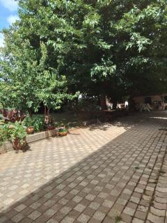 Les tournesols 28 - Lunel-Viel - 9
