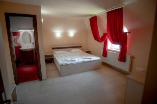 Vila PANSELUȚA - Pucioasa - 9