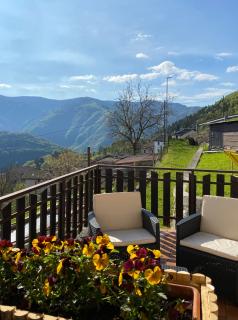 I profumi del bosco - Enego - 1