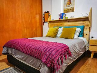 Beautiful and cozy apartment downtown Mexico City - Città del Messico - 5