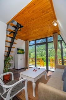 Arditi's Chalets - 5