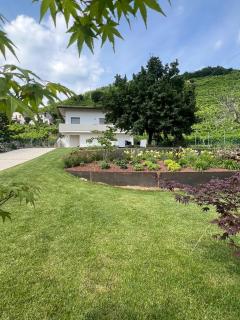 el Zhìgol B&B - Farra di Soligo - 0