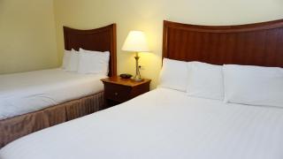 Baymont by Wyndham Arlington At Six Flags Dr - 5