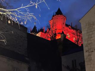 Poésie de Loire - entre Loire & Château - Saumur - 5