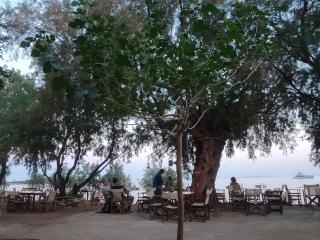 Georgoshouse Lykos beach Sfakia - Livanianá - 8