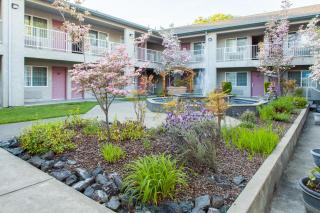 Creekside Inn & Suites - Willits - 8