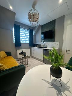 Deluxe Apartment - Harrow on the Hill - 0