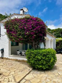 Villa VistaMar - Tossa de Mar - 9