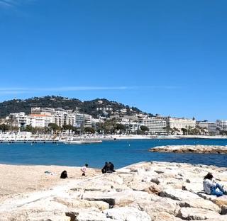 Chambre cosy dans T3 - Cannes - 8
